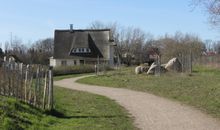 Reethaus Strandgut - geräumiges FH, 5 Schlafzimmer, Sauna und 3 Terrassen, Balkon