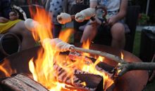 FeWo Pferdekoppel auf dem Ostsee-Ferienhof