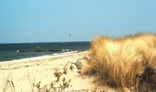 FeWo Am Schwimmbad auf dem Ostsee-Ferienhof