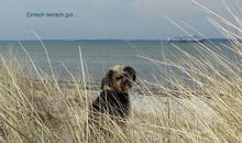 FeWo Meerblick am Kurpark Nr. 7 - Fernsicht