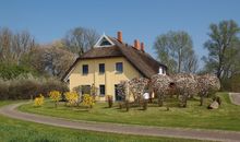 Geräumiges und liebevoll eingerichtetes Ferienhaus für bis zu zehn Personen mit Terrasse und Grill im Garten