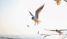 Ferien bei Woydt - Ferienwohnung Schleiwinkel