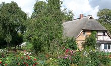 Große Wohnung in Curau mit Terrasse, Garten und Grill