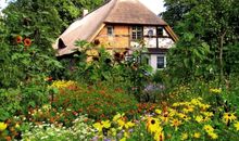 Große Wohnung in Curau mit Terrasse, Garten und Grill