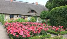 Große Wohnung in Curau mit Terrasse, Garten und Grill