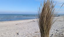 Ferienhaus Meerkieker mit Ostseeblick auf der Insel Poel