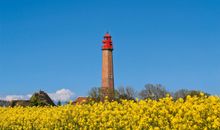 FEWO Schlei-Hering bei Kappeln / Ostsee