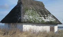 Ferienwohnung Strandläufer im Lindenhof