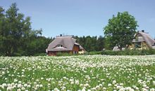 Reetgedecktes Ferienhaus