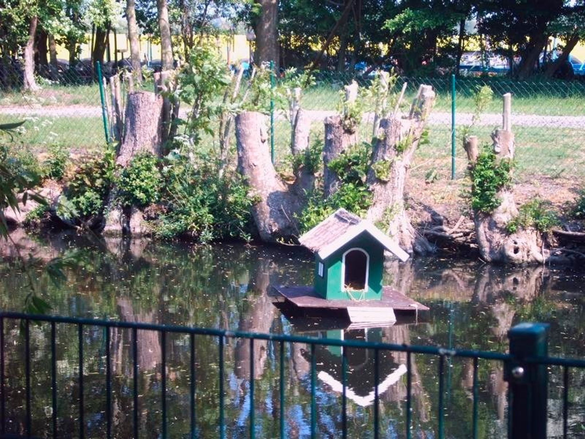 Ferienhaus Langbehn