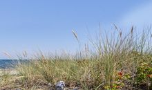 Strandgut - Bungalow am Meer