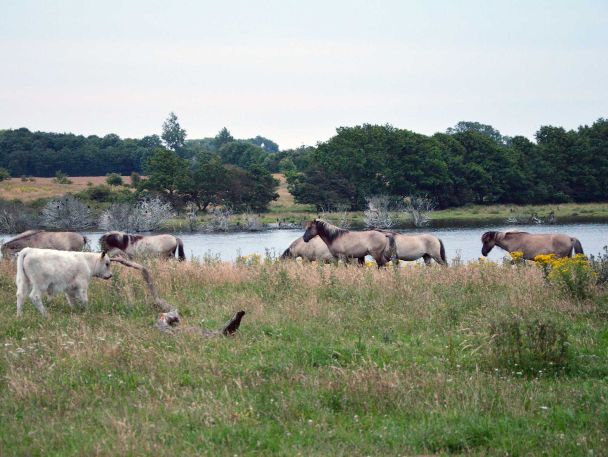 Villa Seepark Eingang