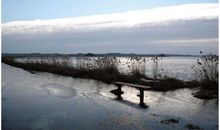 im Winter, die Schlei