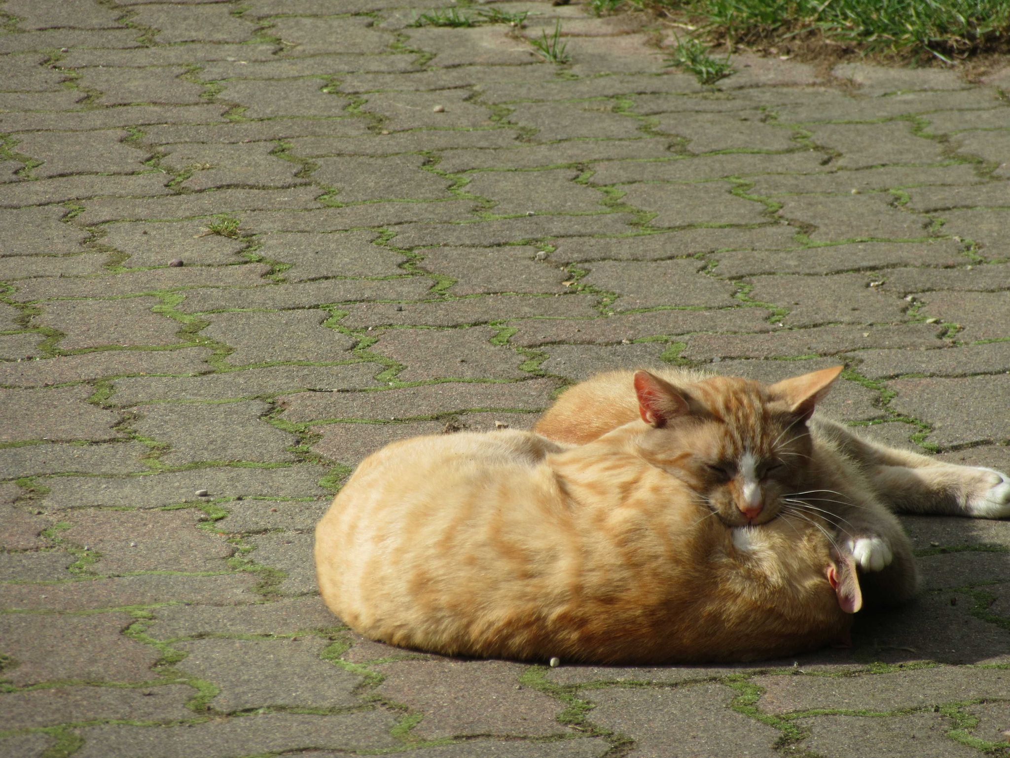 Raum mit Doppelbett