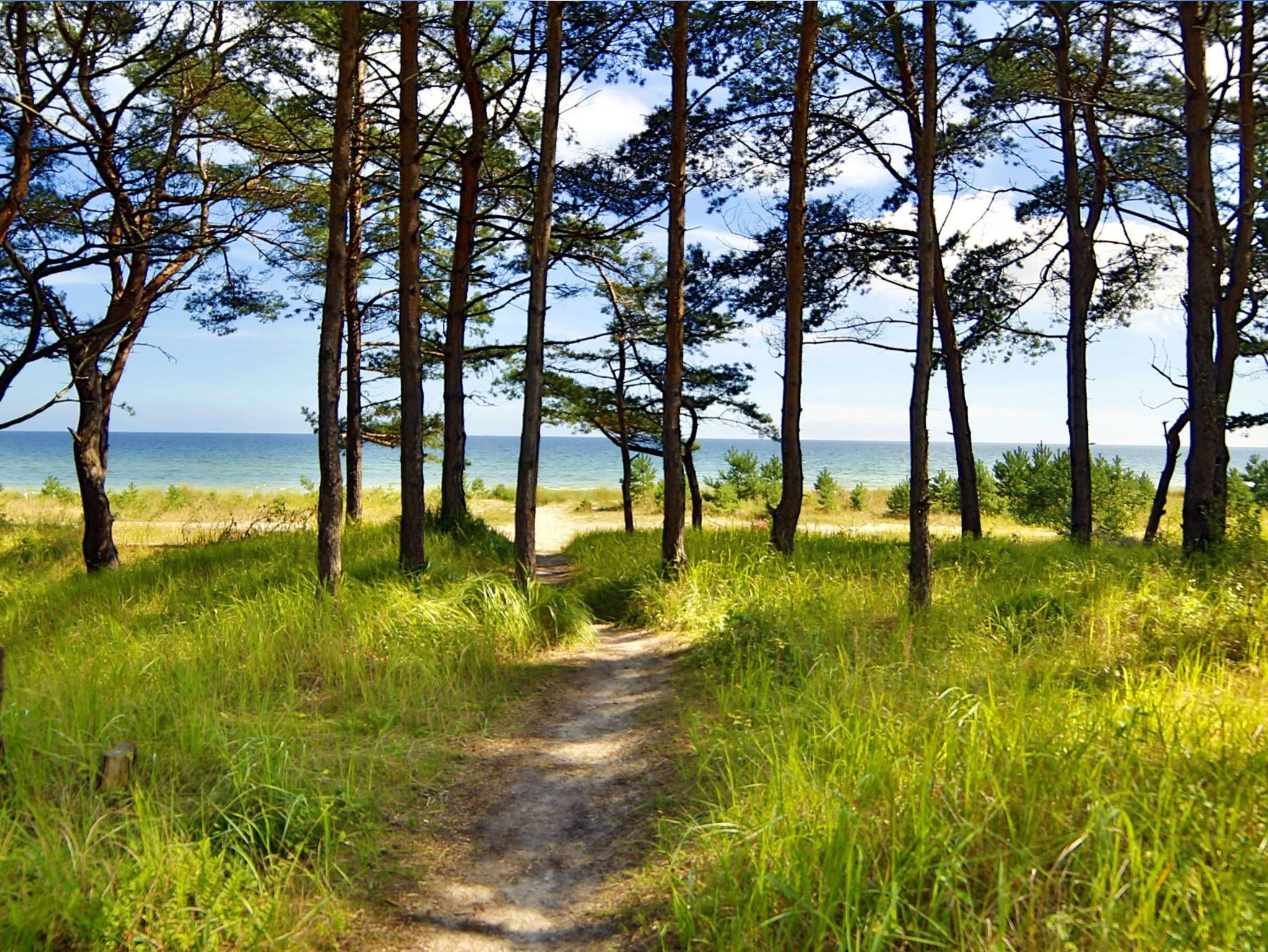 Blick von der Villa Wauzi auf die Strandstraße Richtung Zentrum