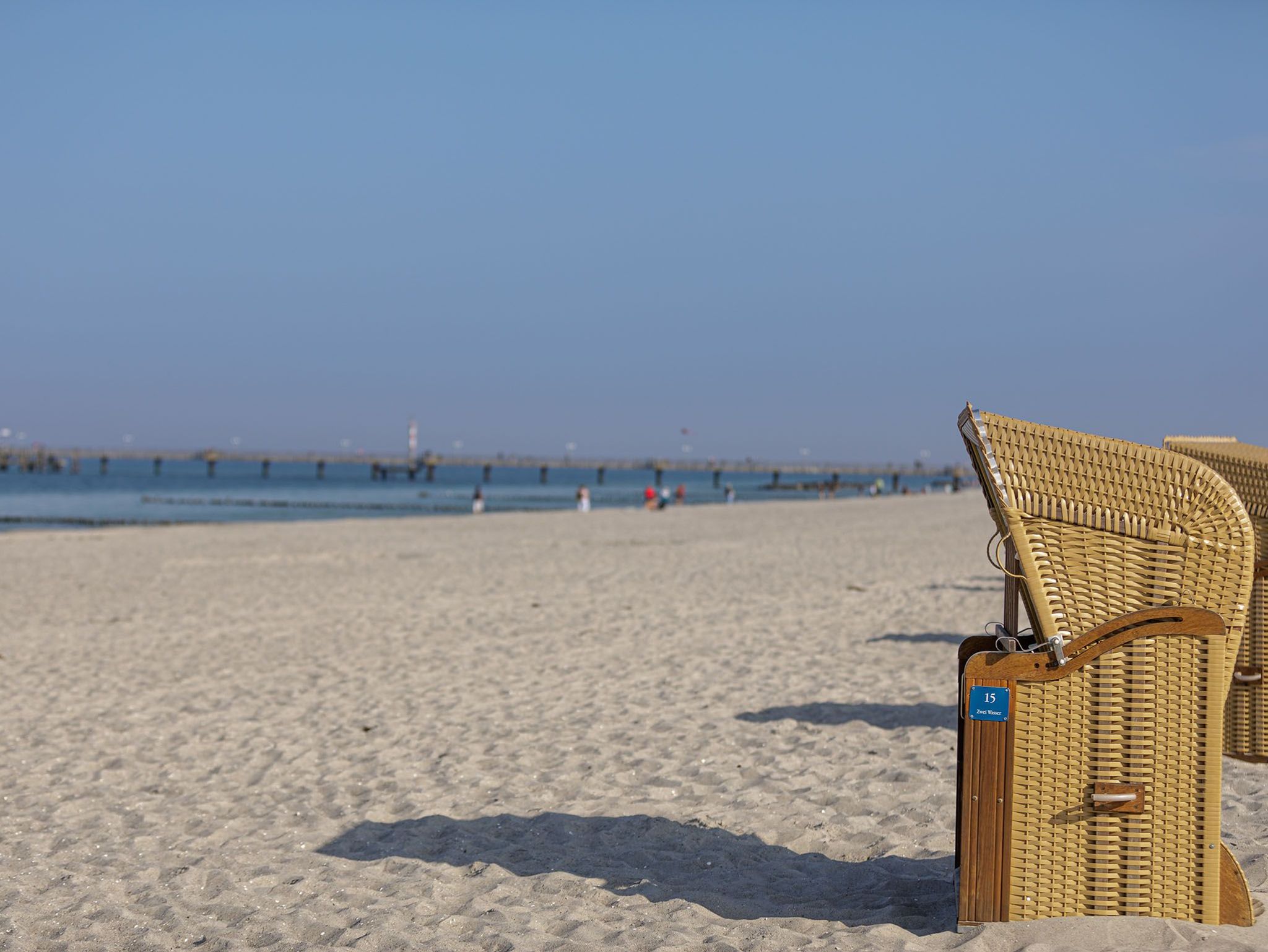 Rapsblüte am Strand Norgaardholz