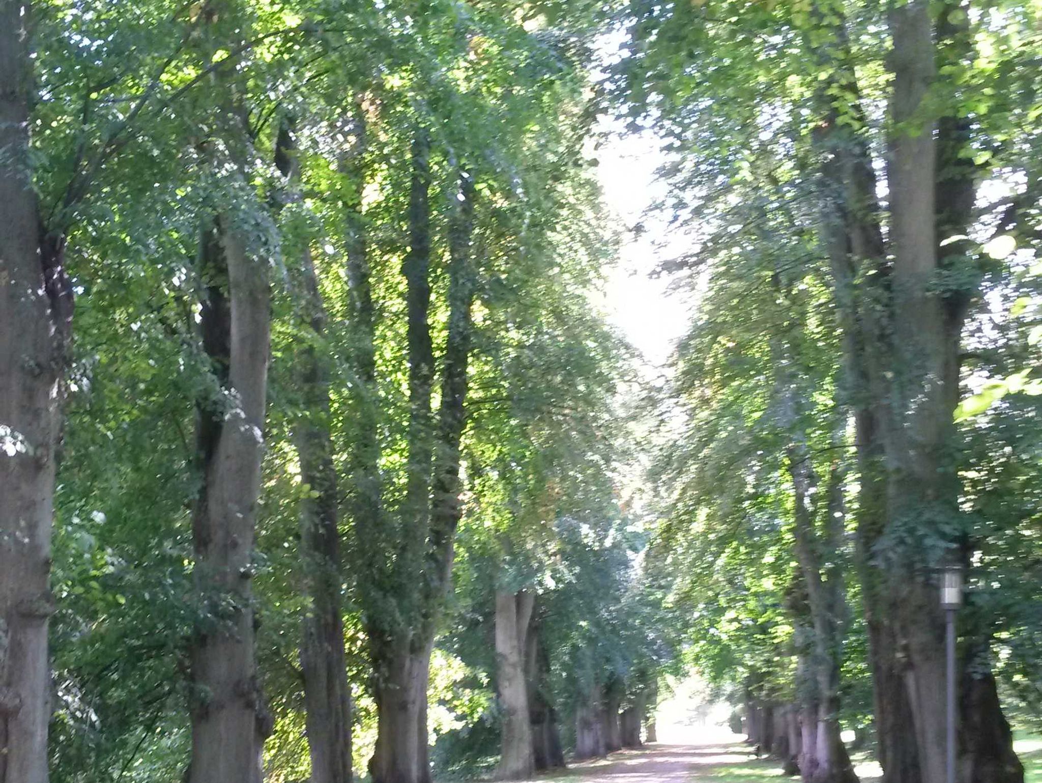 Spielplatz auf dem Gelände