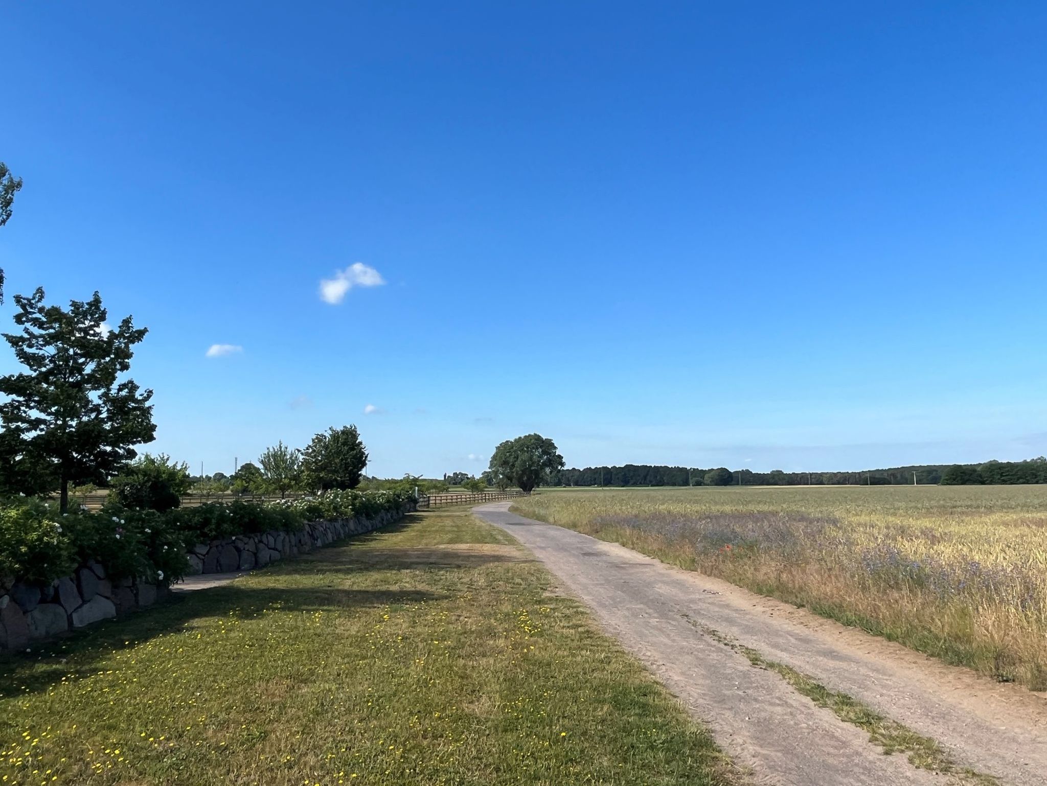 Wohnraum mit SKY TV, Seeblick-Balkonen und Kamin