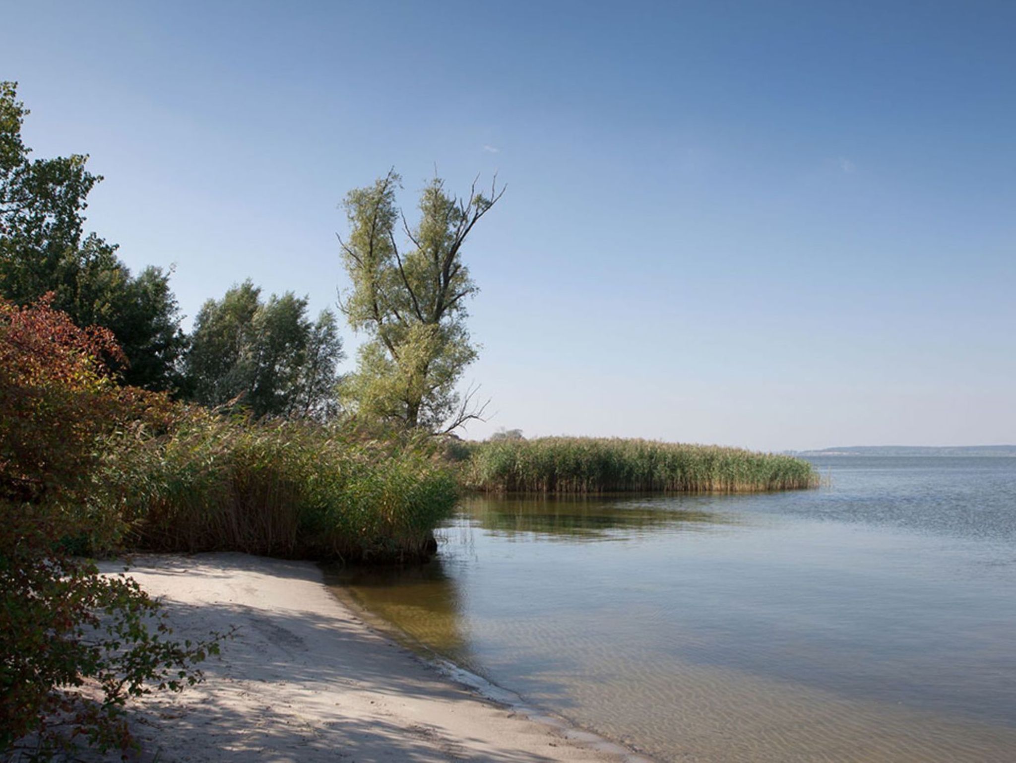 Wohnraum mit Smart TV, Sauna und Kamin