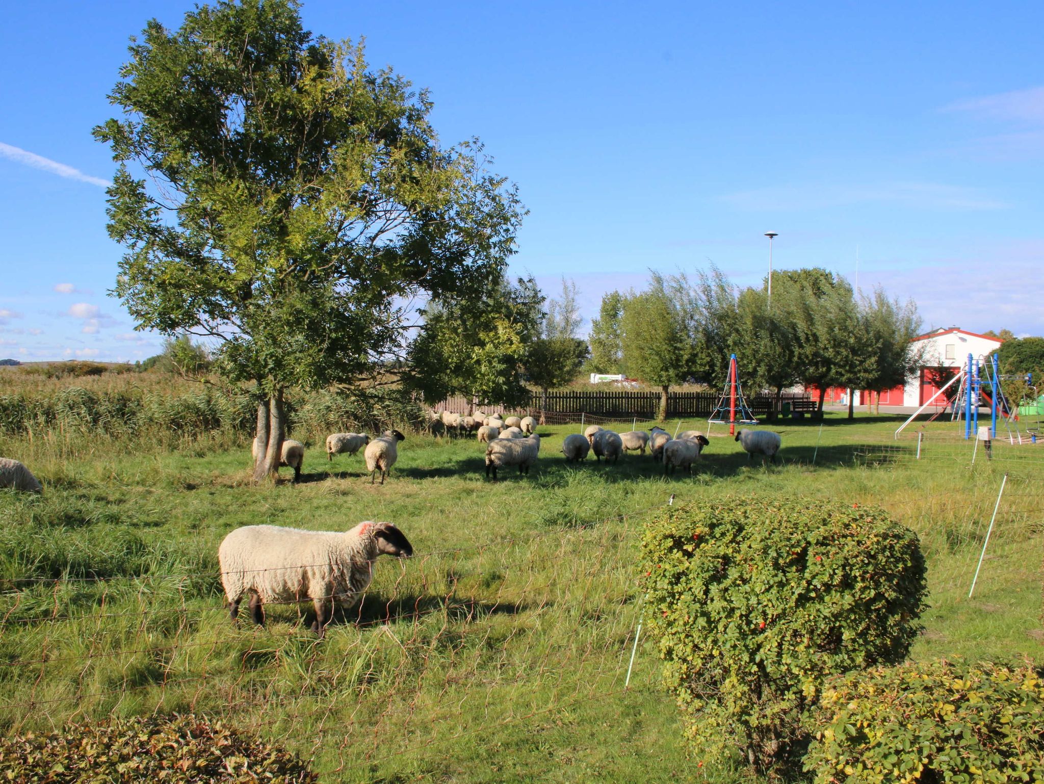 Steilküste in Schönhagen