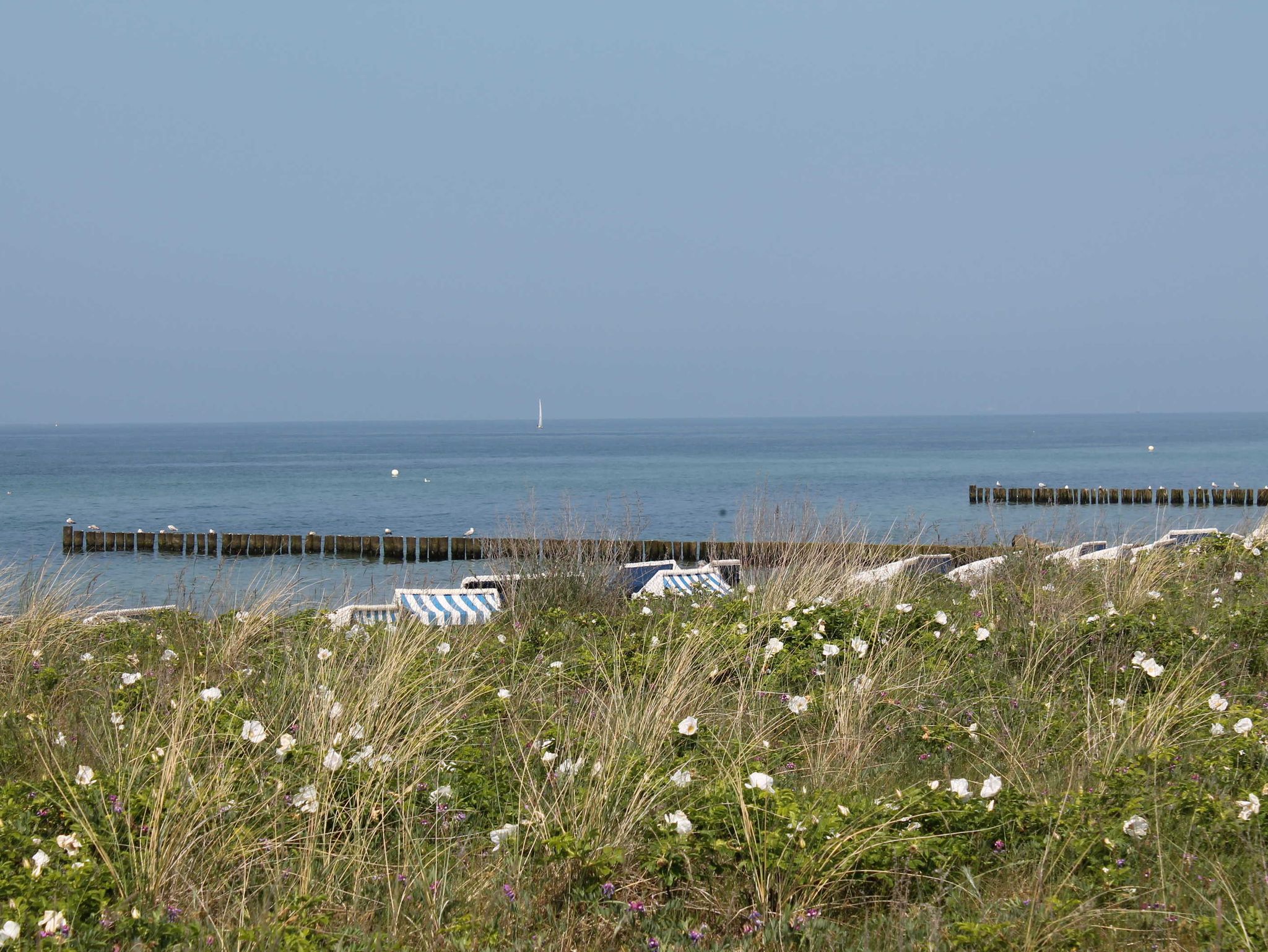 Villa Deichgraf WE 07 Ostseeblick