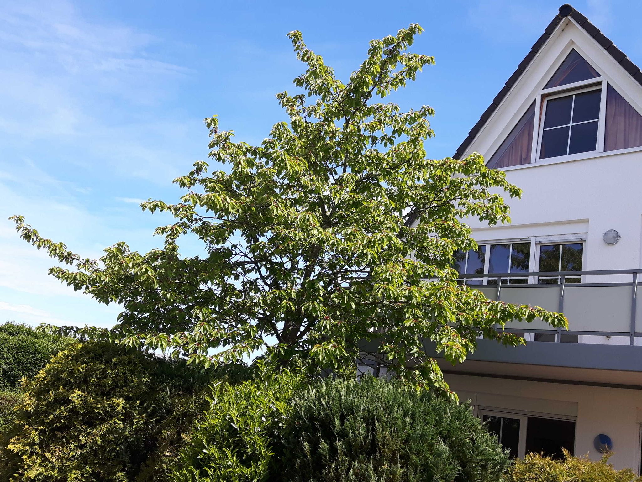 Großes Badezimmer mit ebenerdiger Dusche