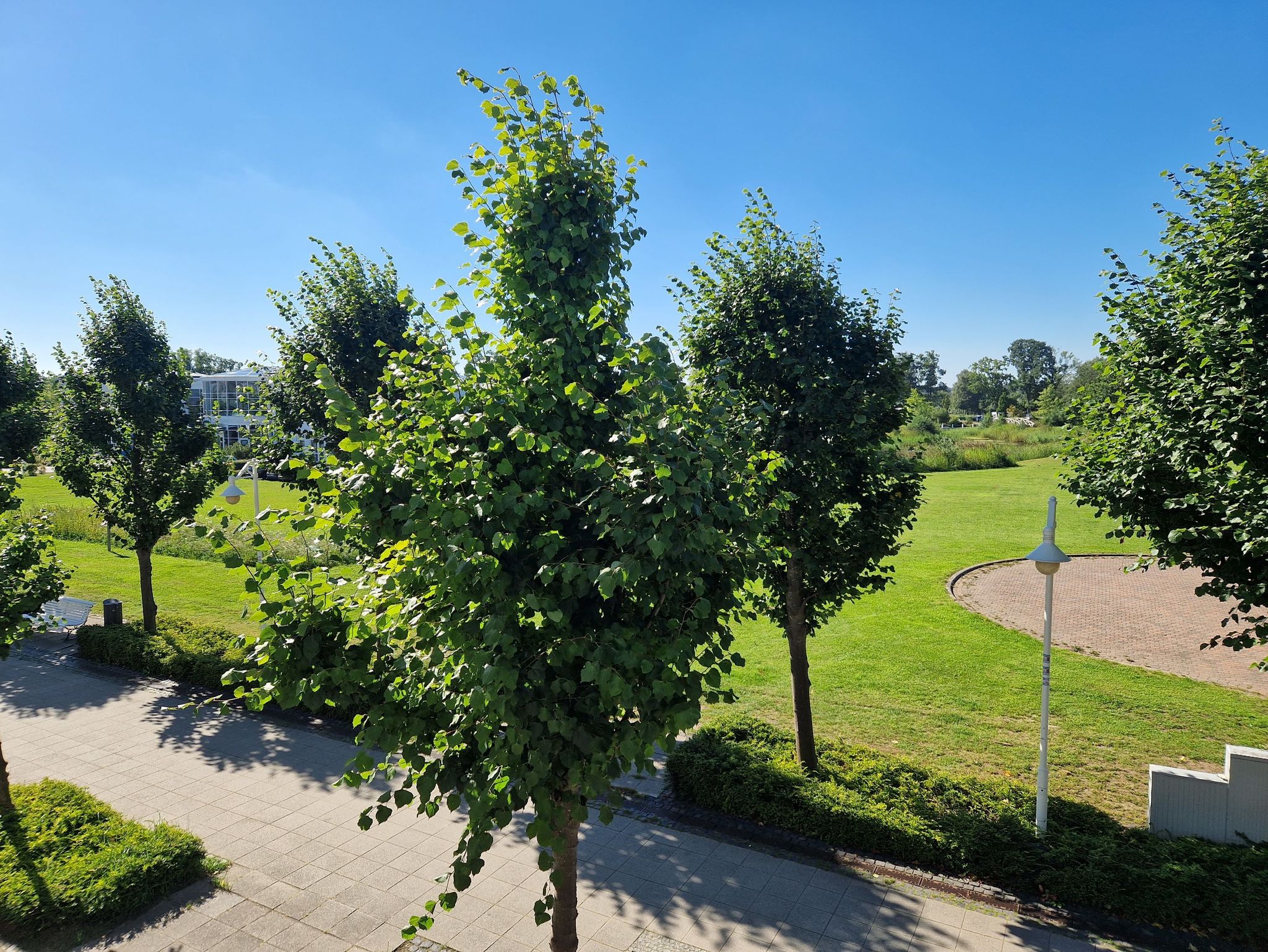 Seebach Whg. S11 - Blick auf den Wohnbereich