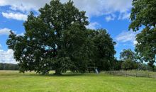 Spielplatz mit Rutsche