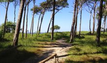 Spielplatz mit rutsche