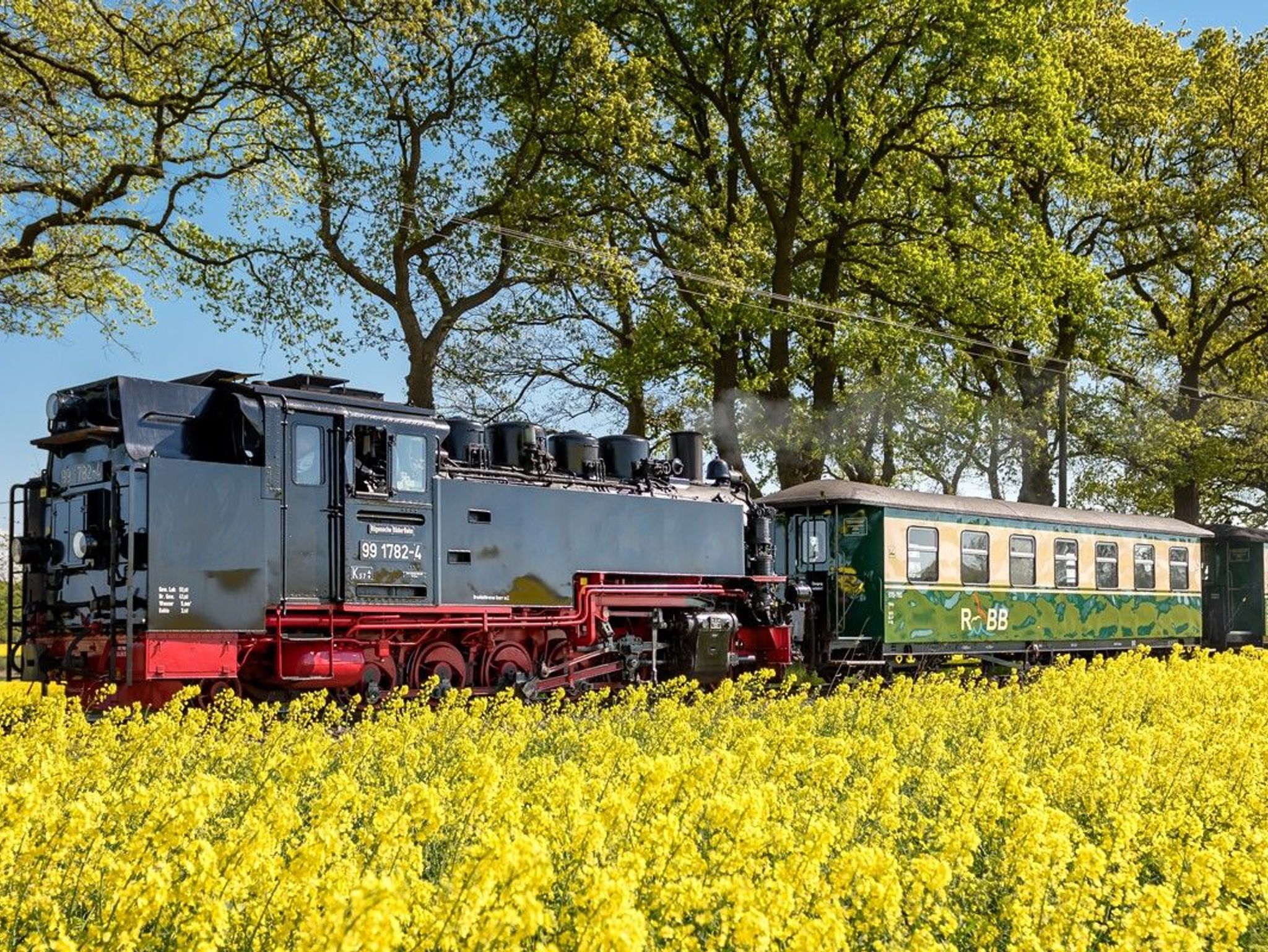 kombinierter Küchen-/Essbereich