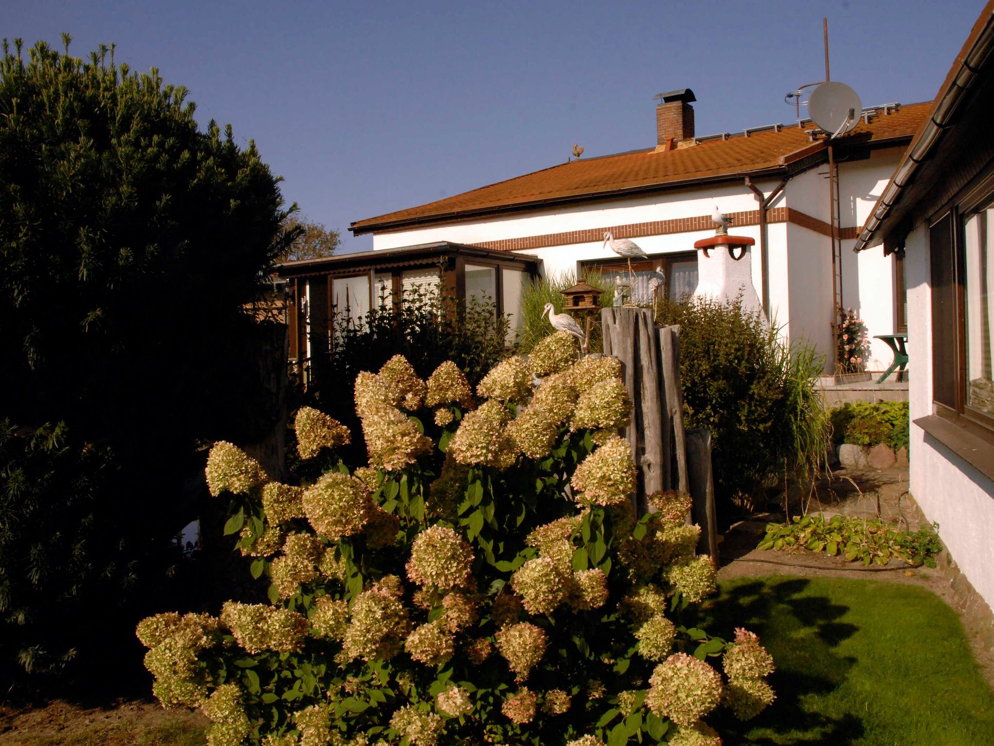 Landhaus Victoria,Seepferdchen - Blick auf die offene Küche