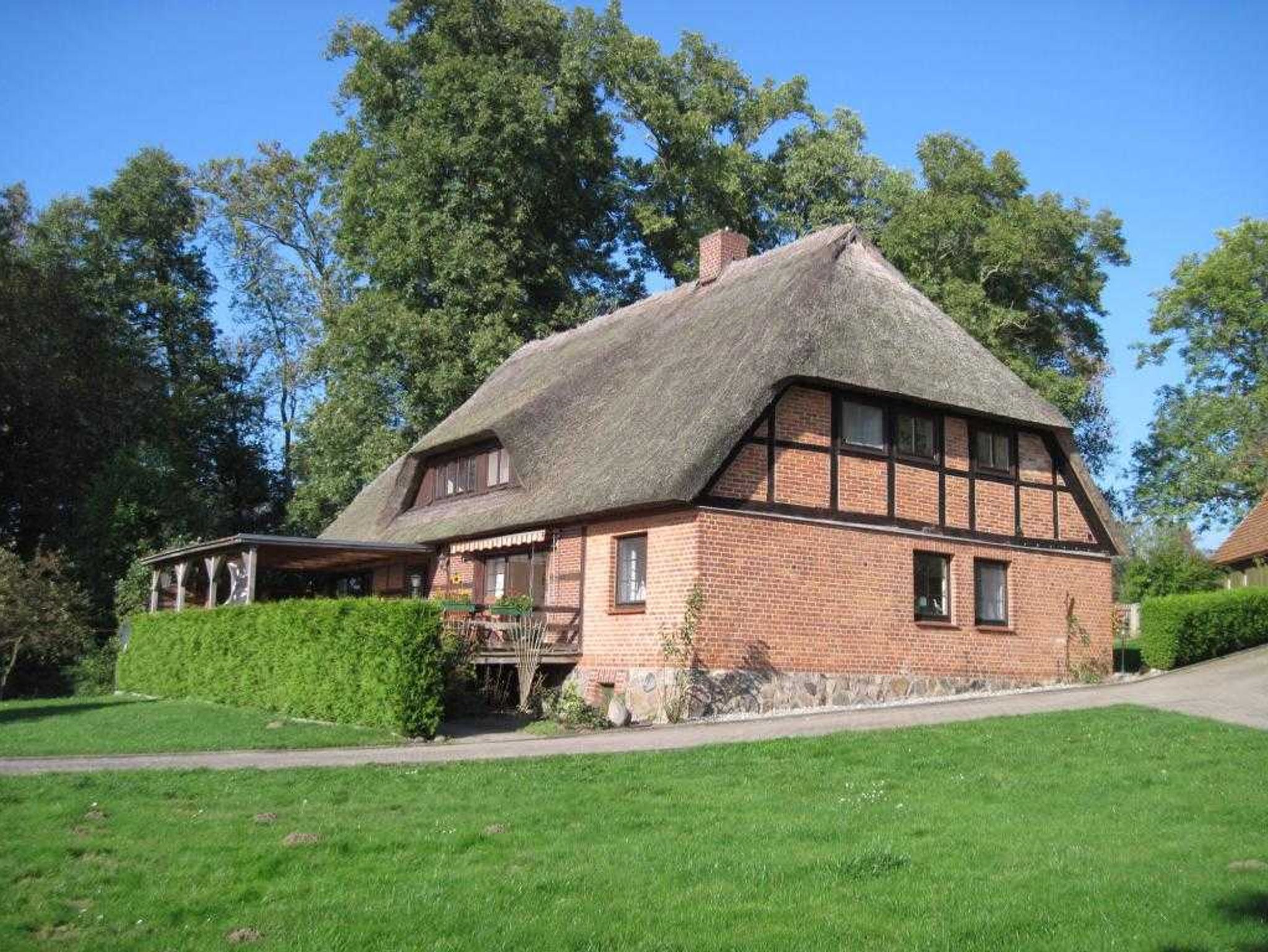 Herrliche Blumenwiese am Haus