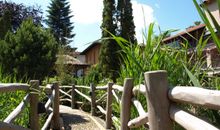 Der Innenhof mit der Teichlandschaft