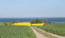 Das Blaue und Das Weiße StrandHaus OFC 16