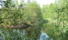 Weiher im Liepgartener Wald, August-Bartelt-Lehrpfad