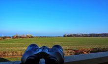 Balkon mit Waldblick