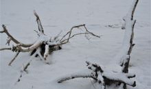 Winter am Strand