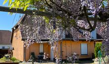 Ferienwohnung Ostwind am Strand