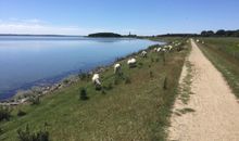 FeWo Ultima Poel an der Ostsee - ABC367 - Nur an Feriengäste