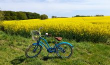 Frühlingsradtour durch die blühende Rapslandschaft