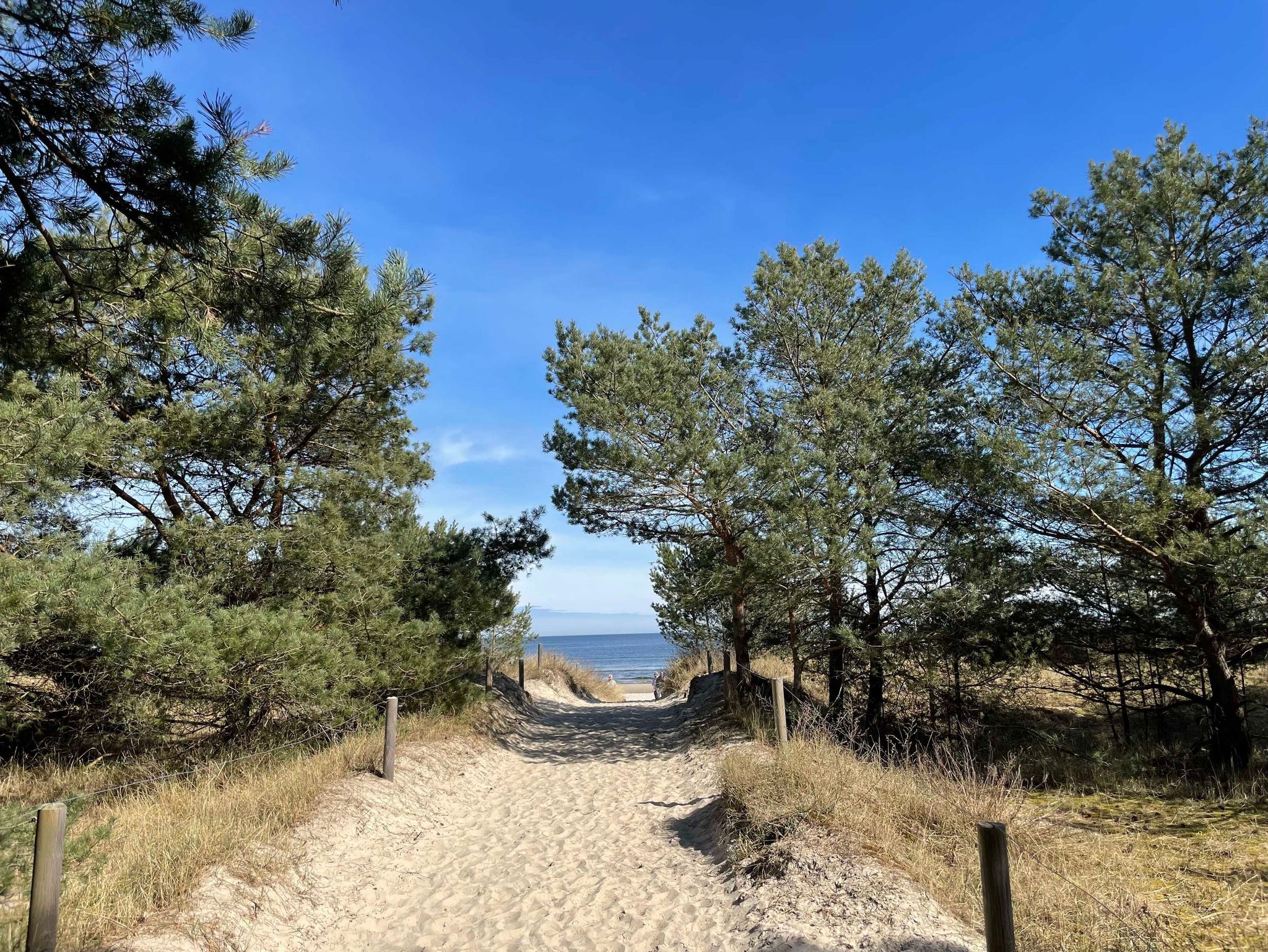 Besonderes Wohlfühl- und Wellnessangebote - Hotel Strandvilla Imperator auf Usedom