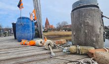 Fischereihafen Rerik mit Blick auf die Kirche