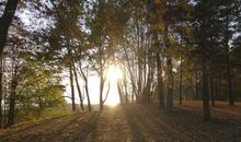 Spaziergang im Herbst