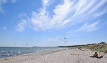 Segler auf der Ostsee mit blühendem Raps