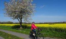 Radtour im Frühling