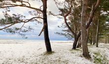 Bucht Ralswiek mit Naturbühne für Störtebeker Festspiele