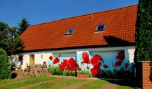 Möwen füttern  auf Usedom