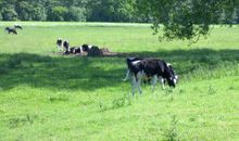 Blick auf´s Achterwasser