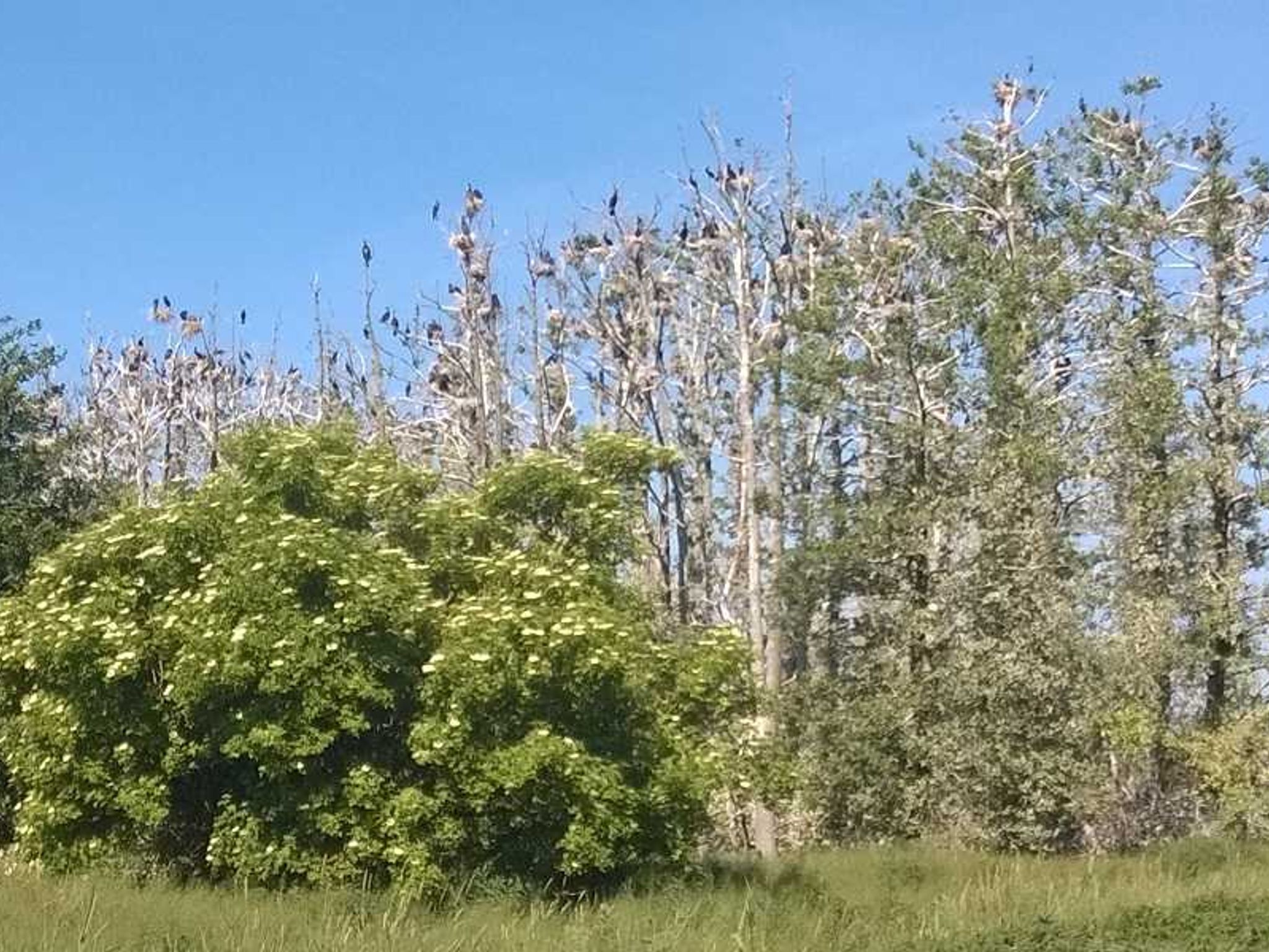 Frühstücksraum - hier starten Sie in den Tag mit Ausblick auf den Sund