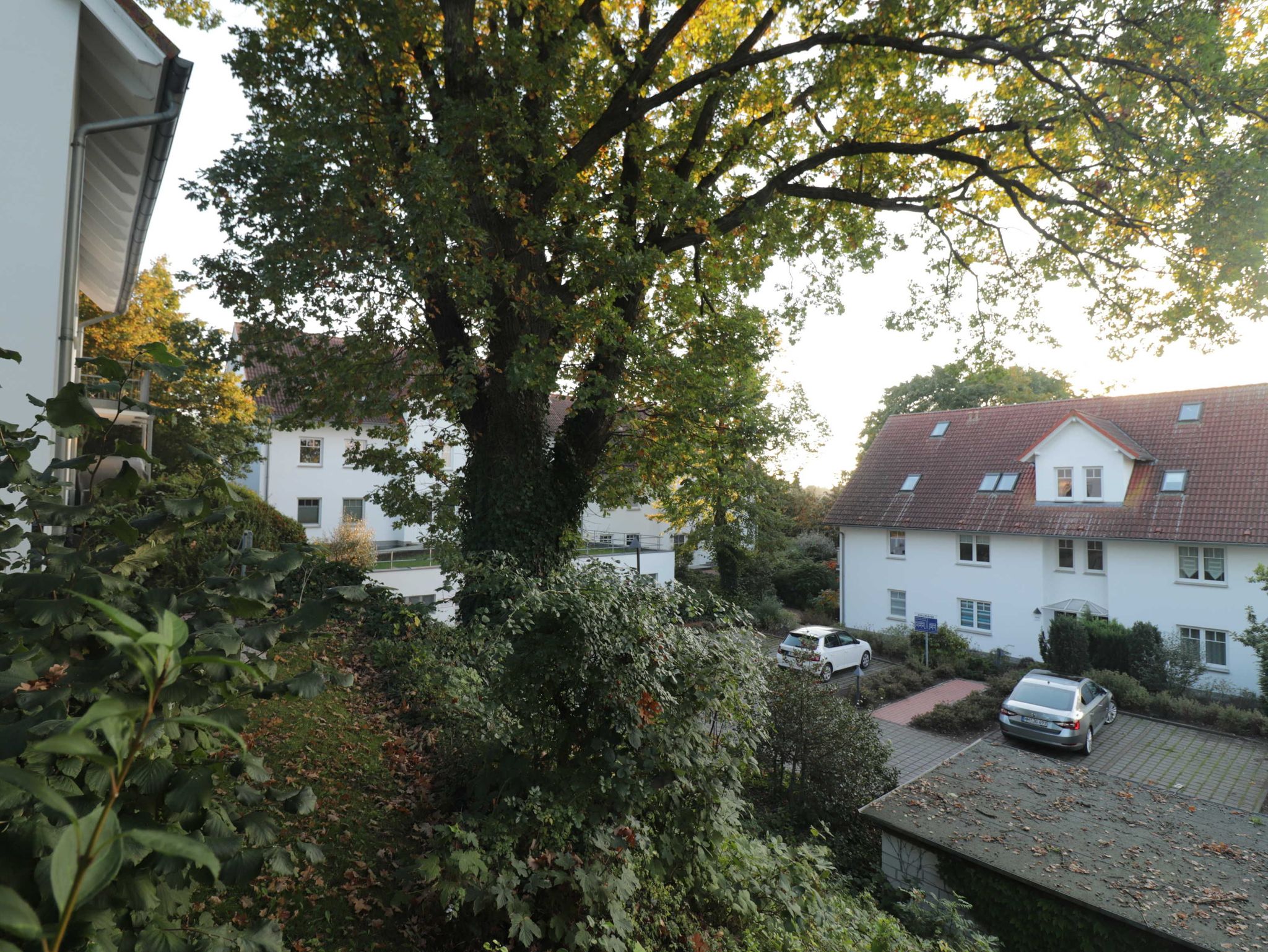 Der Wohnbereich der Wohnung